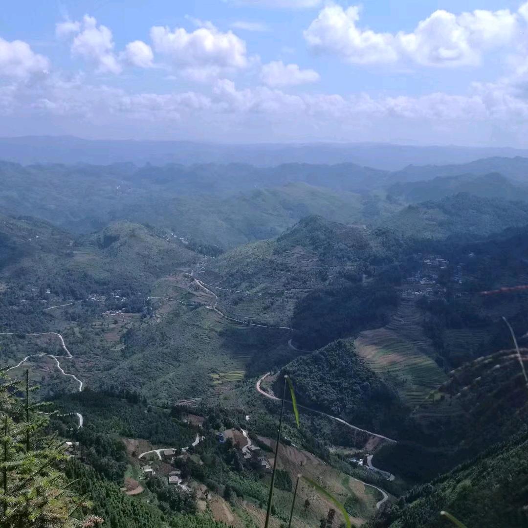 坡妹文化田爱民