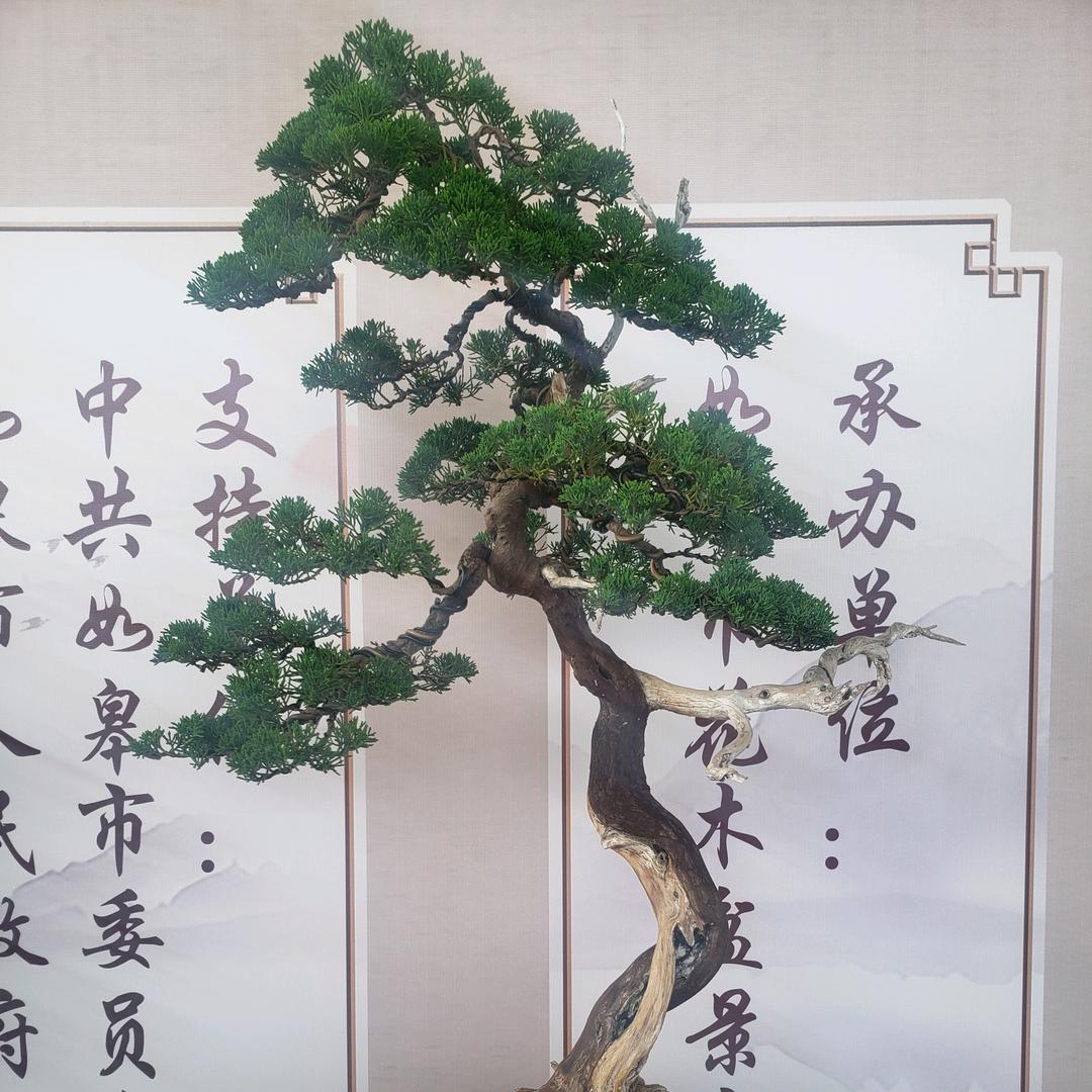 华瑞优景