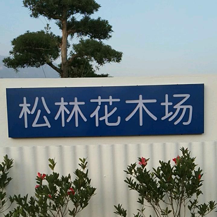 陈小芳🌲松林花木场