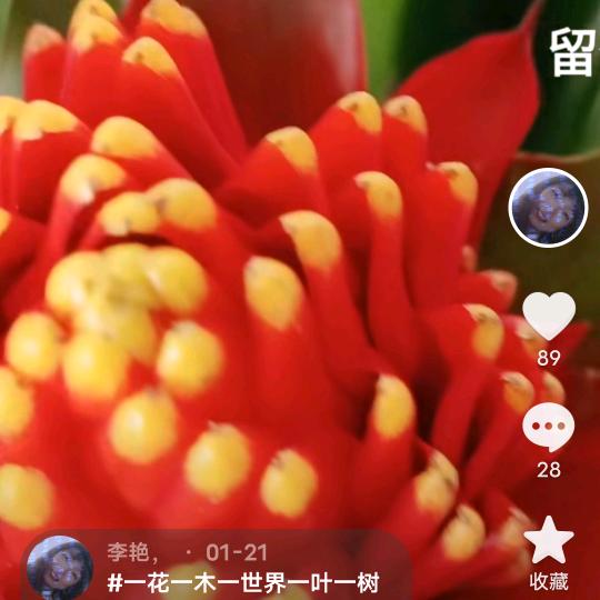 心换心，你真我也真。你假我转身'