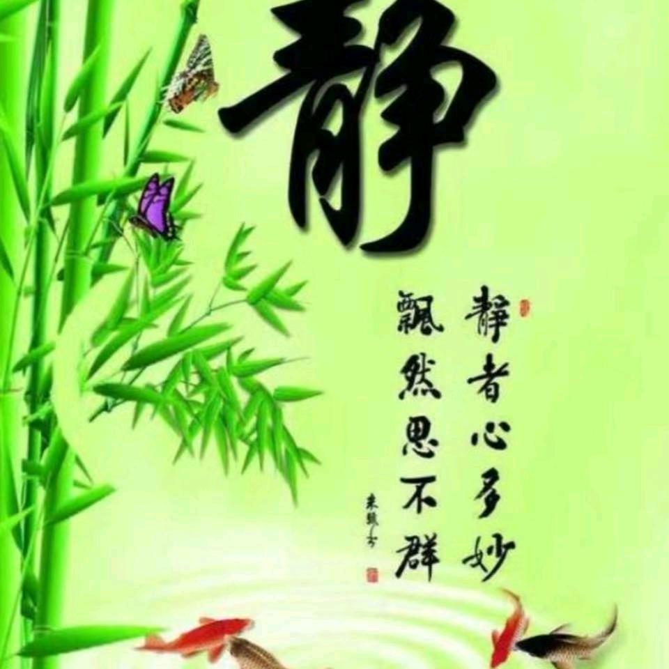 风雨同舟