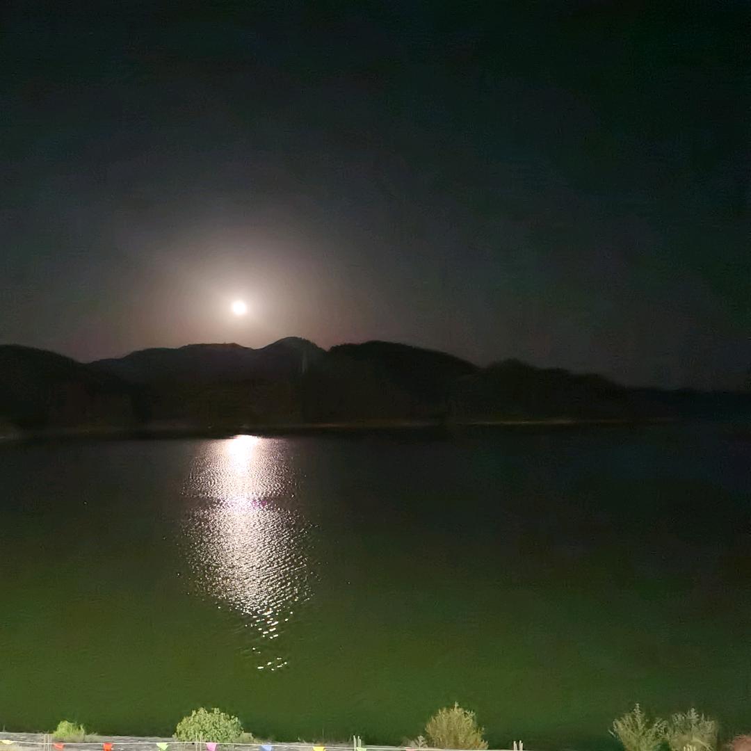 家是港湾（拒私聊）