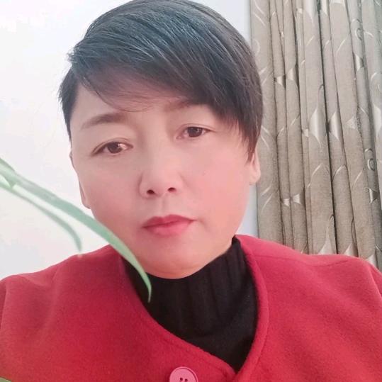 驻马店东梅企业管理有限公司。