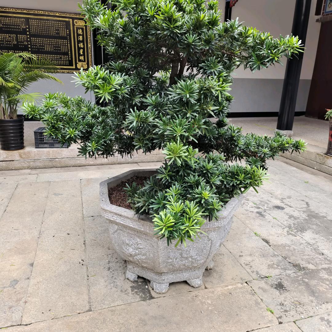 长鑫百货商城