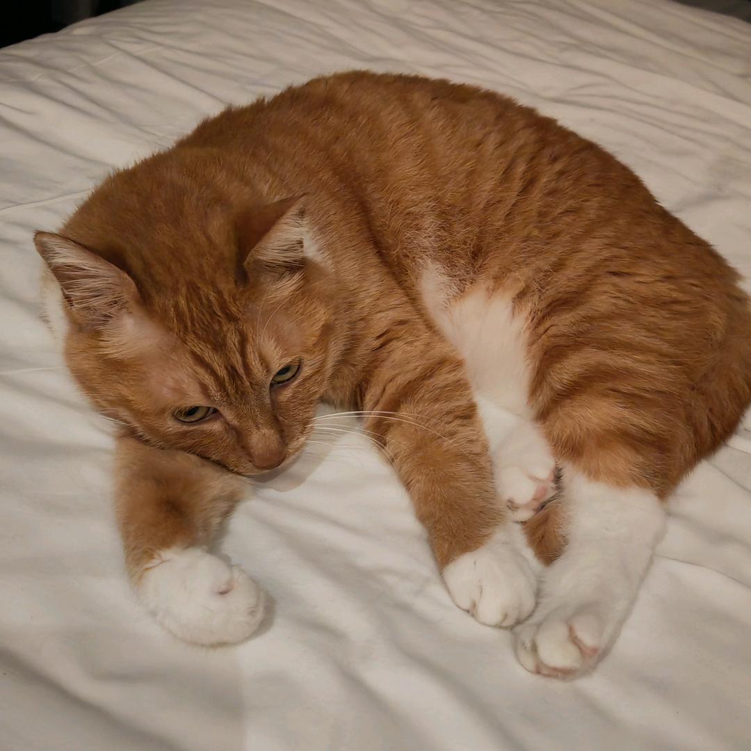 嘟嘟嘟是个乖宝宝