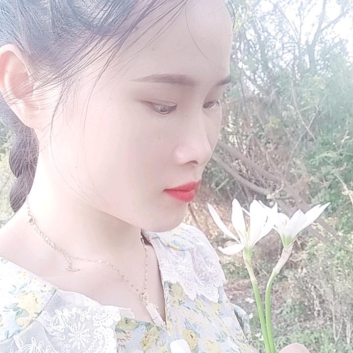 木棉花思雨