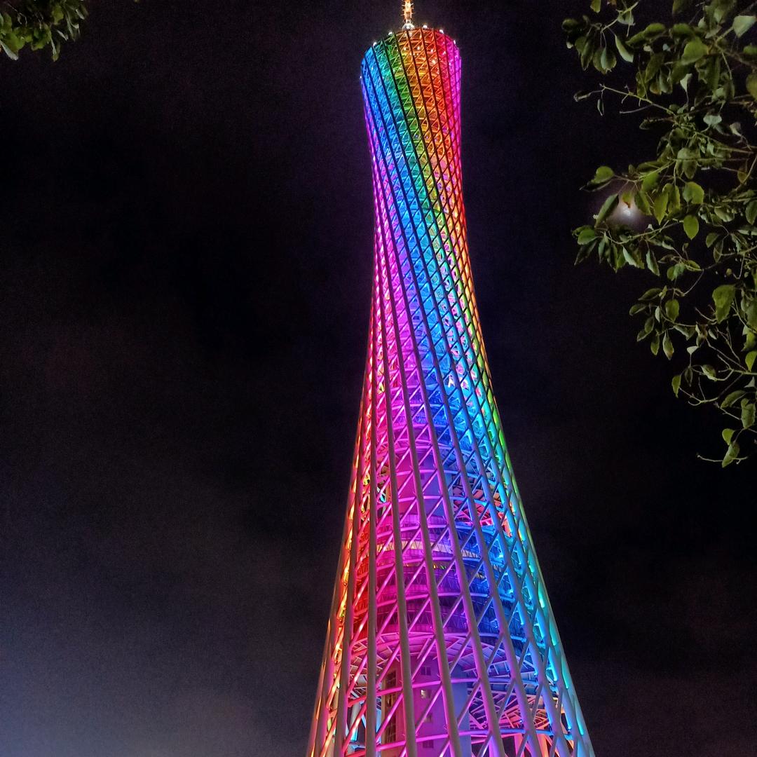 楠木