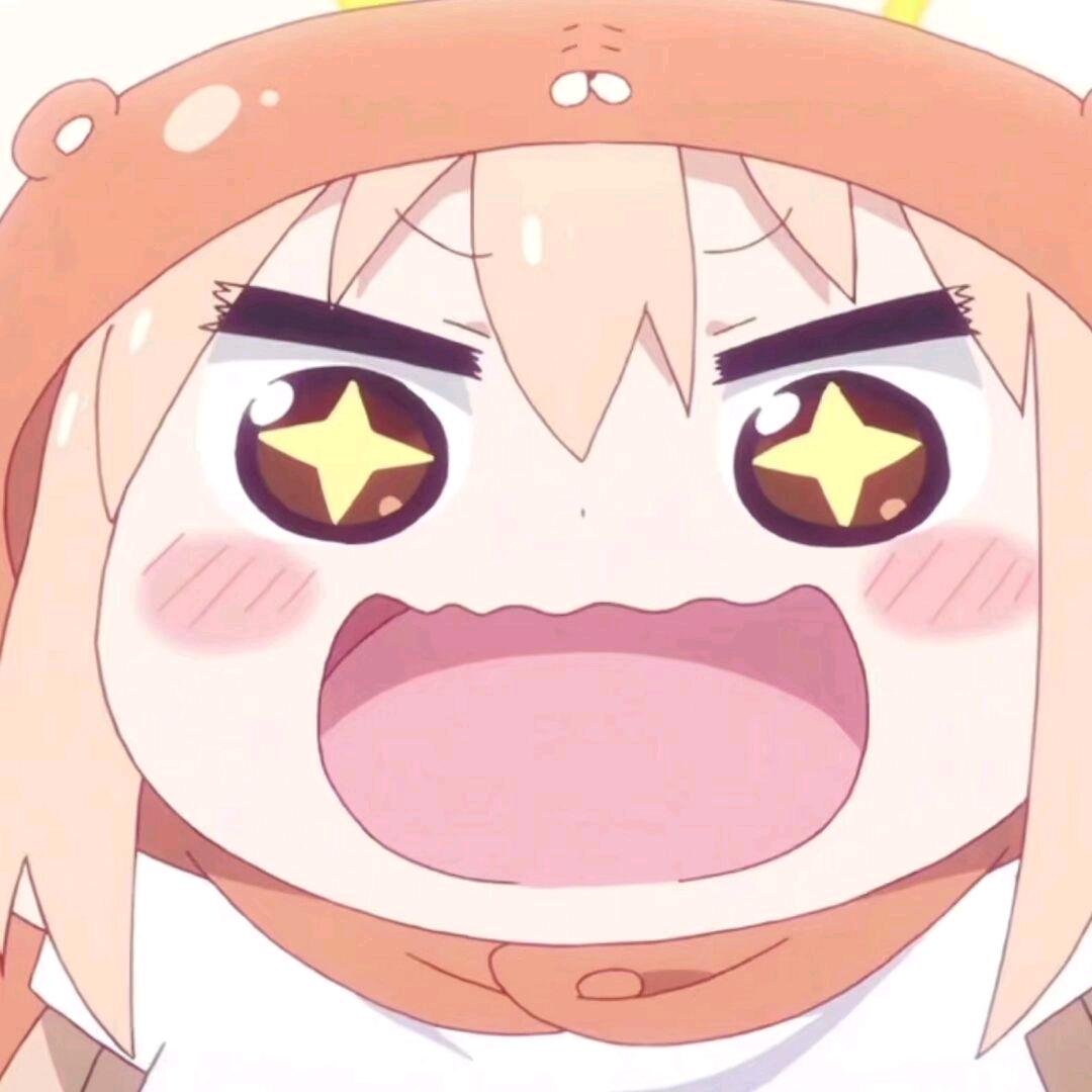 小佳笨笨笨