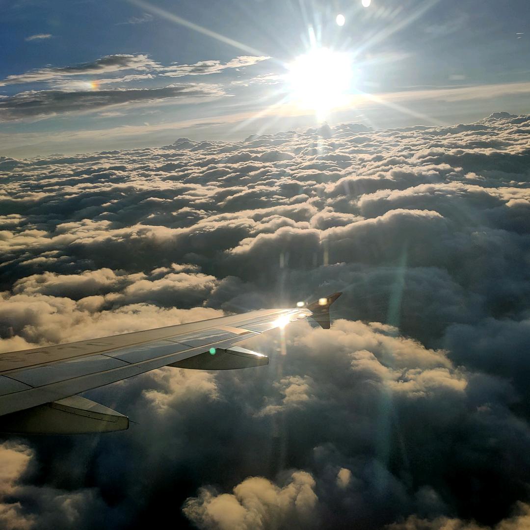 流浪到哪，哪安窝