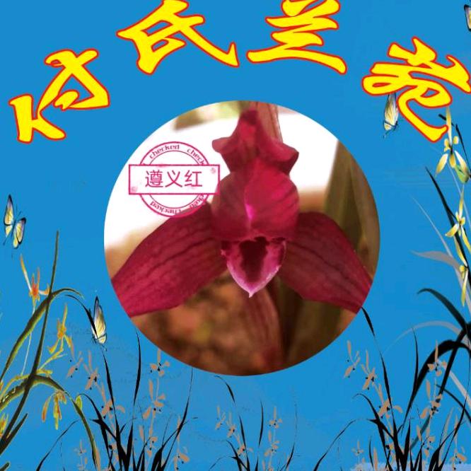 付氏兰苑(遵义市播州区)