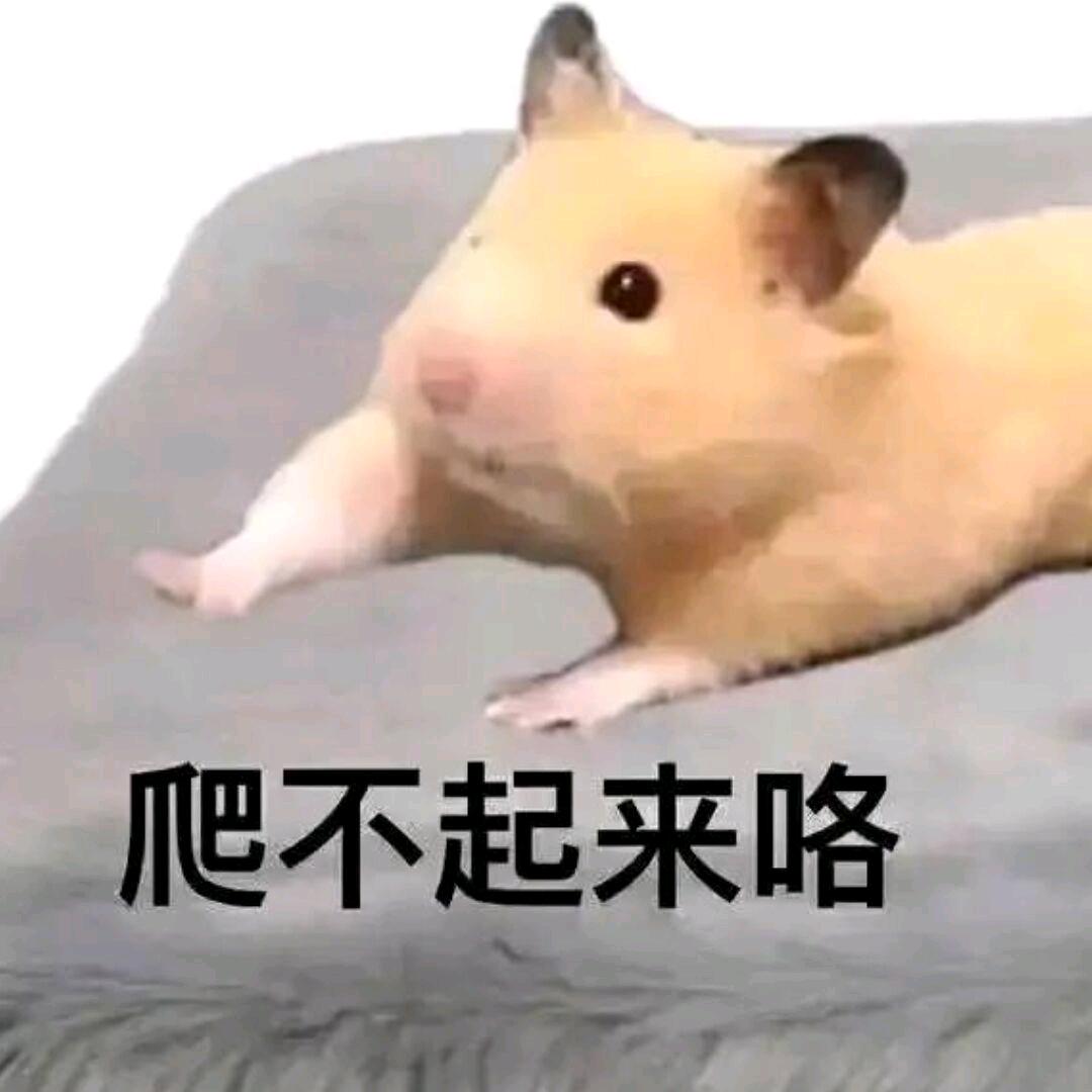 巴卡尔