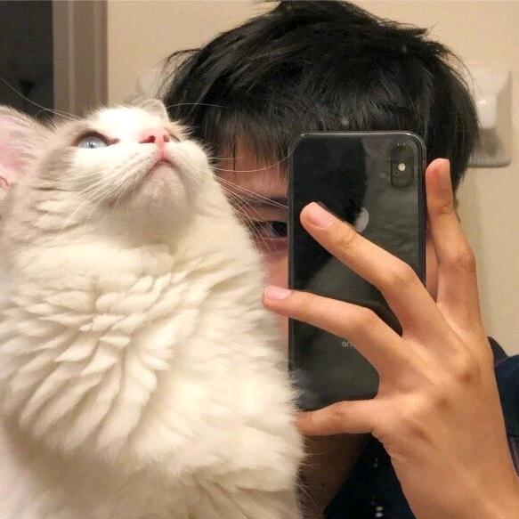 波仔