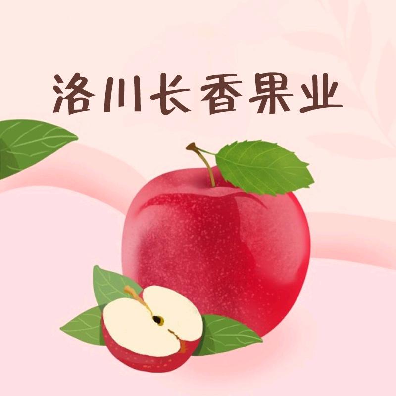 洛川苹果《长香果业》