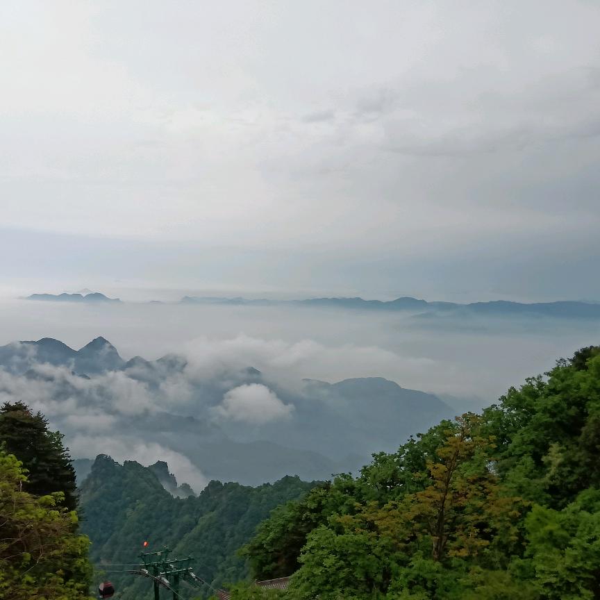油田钢管，扣件，租赁站