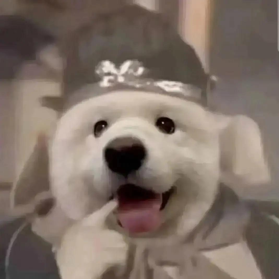 👻