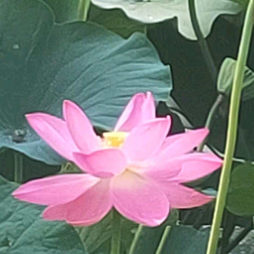 一生平安