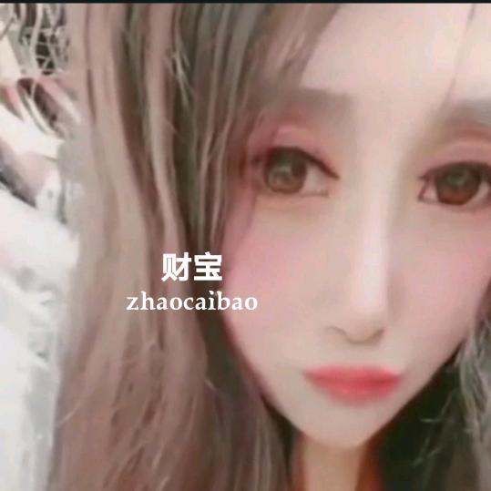 趙财宝A1-2011