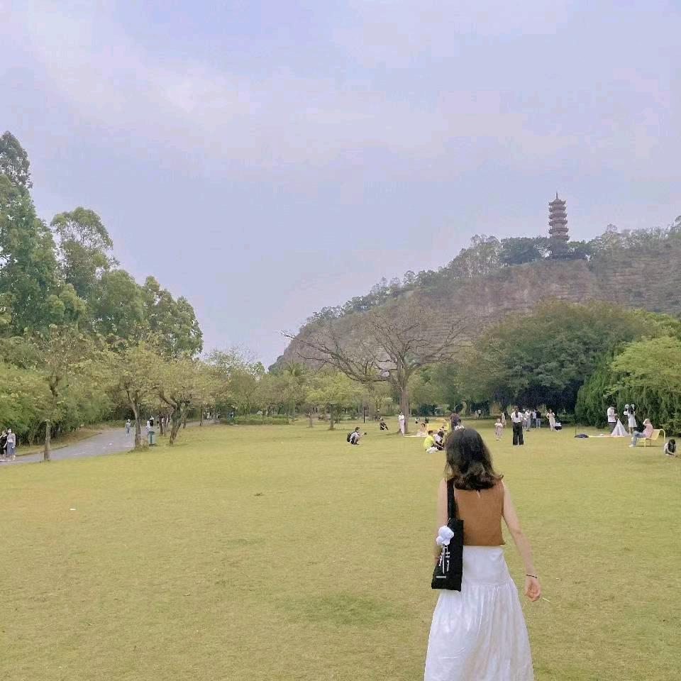 酸桃波波🐢
