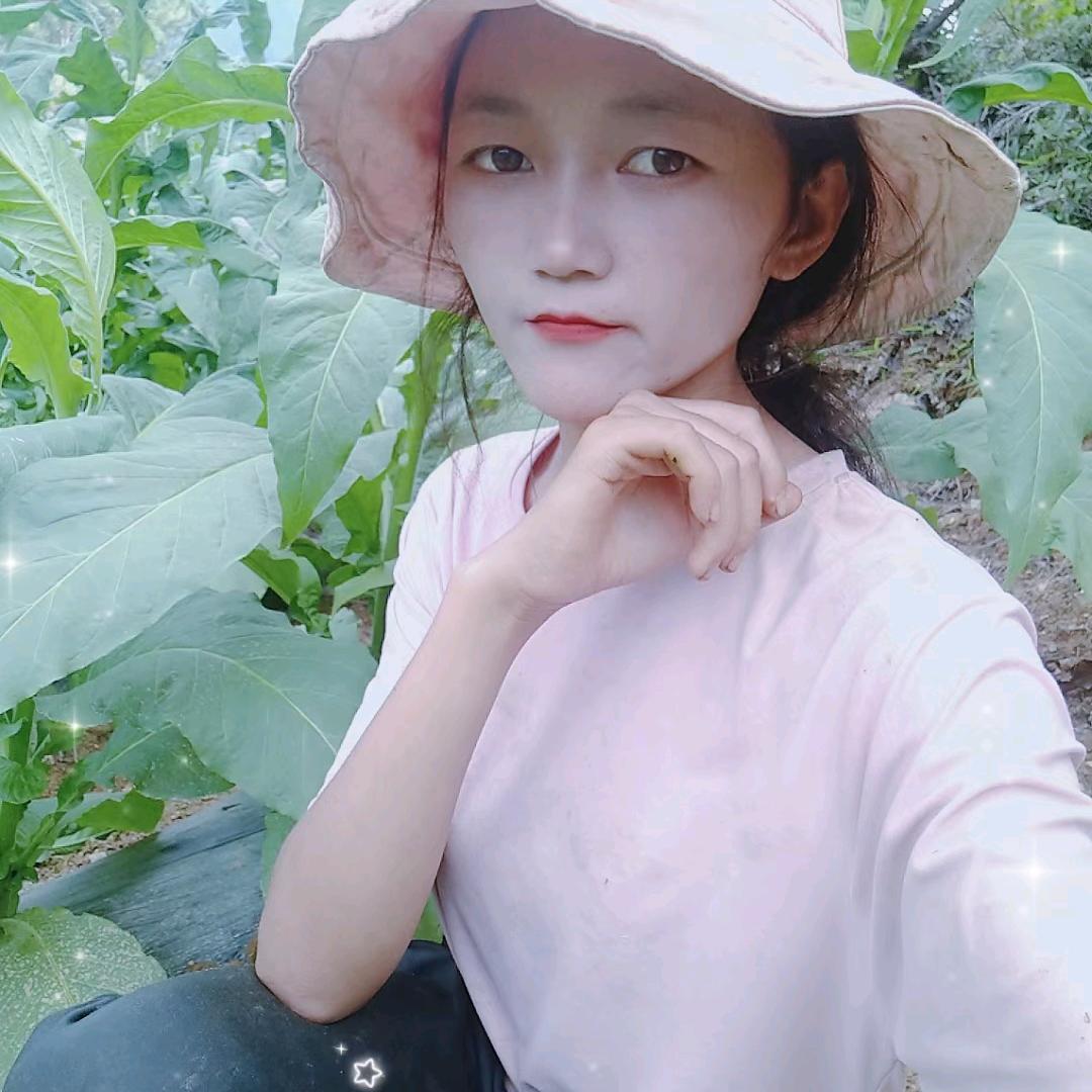 阿海姐姐