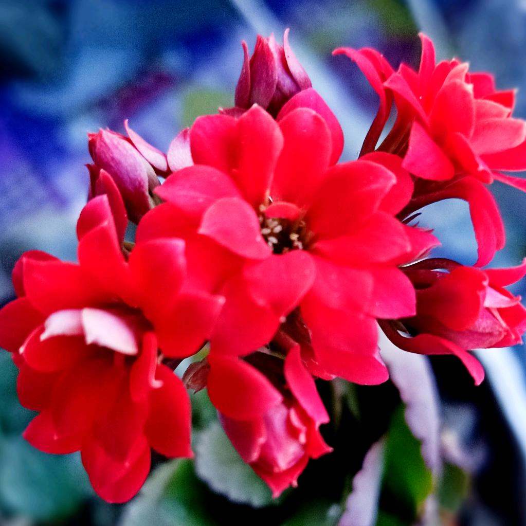 心中有光无畏黑暗