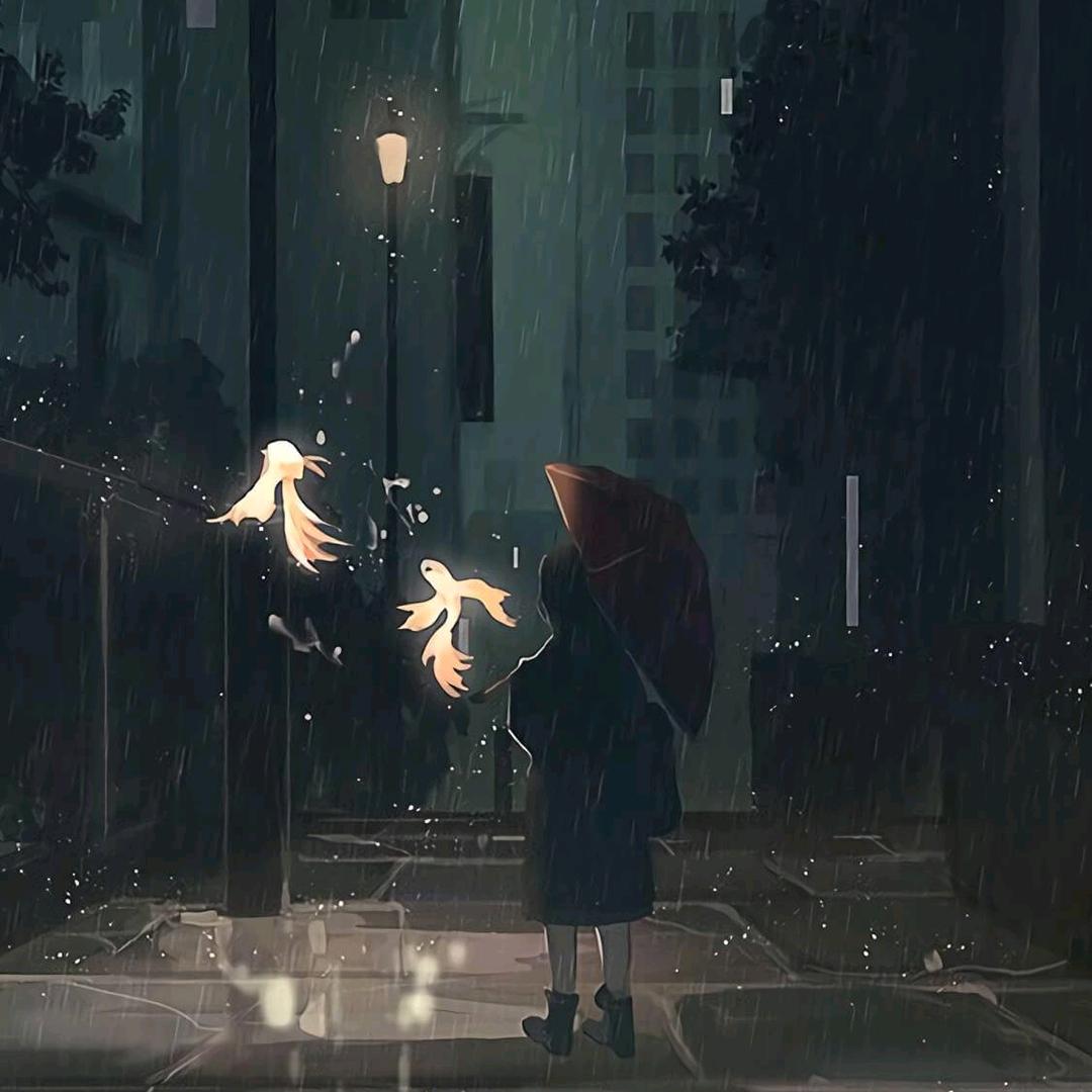 孤夜思齐
