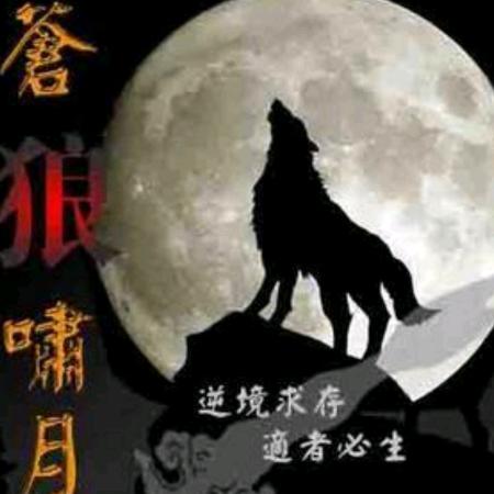 孤狼卫月