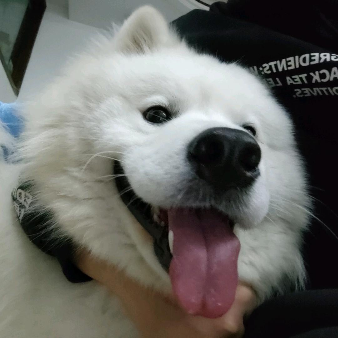 巴卡玛卡