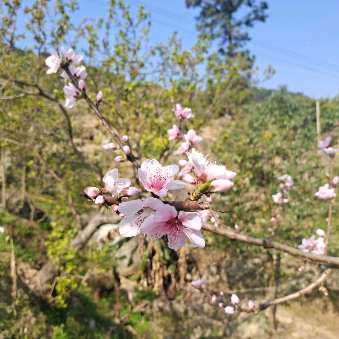 我给自己天下
