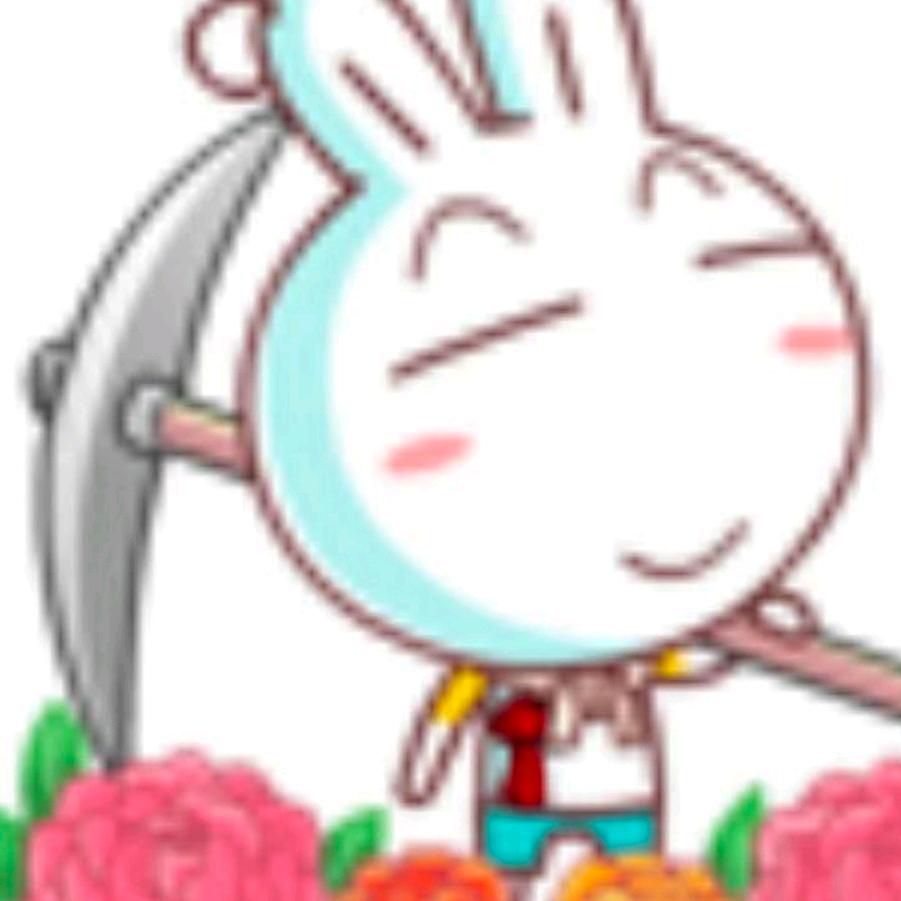 斌哥信息科技