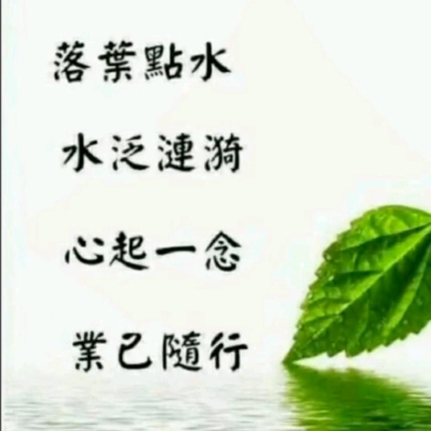 我盼有束光