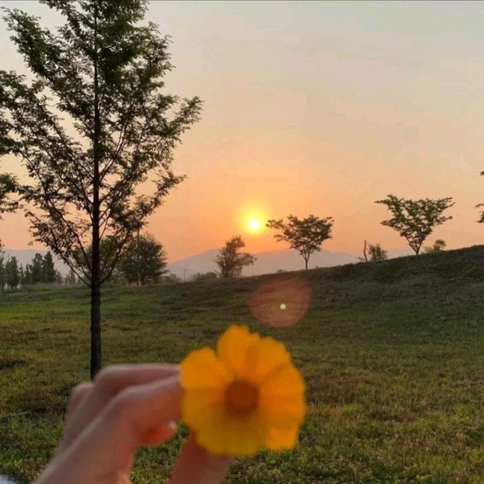 @陌上花开