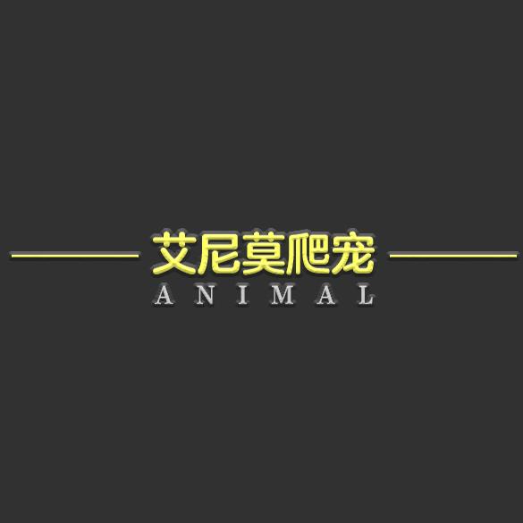 调水养龟人小磊