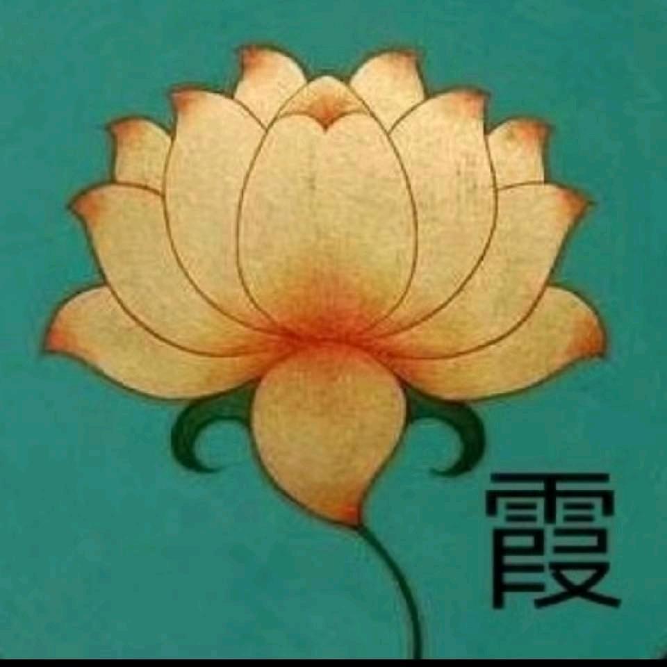 霞宝