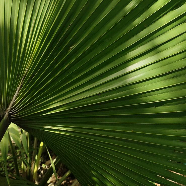 好男儿志在四方