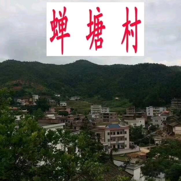 老板脚手架