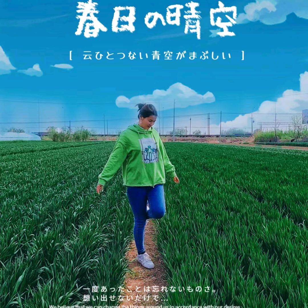 淡笑Na红尘