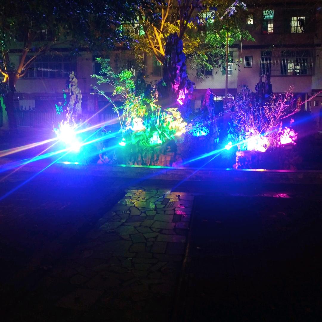 顶雨看彩虹