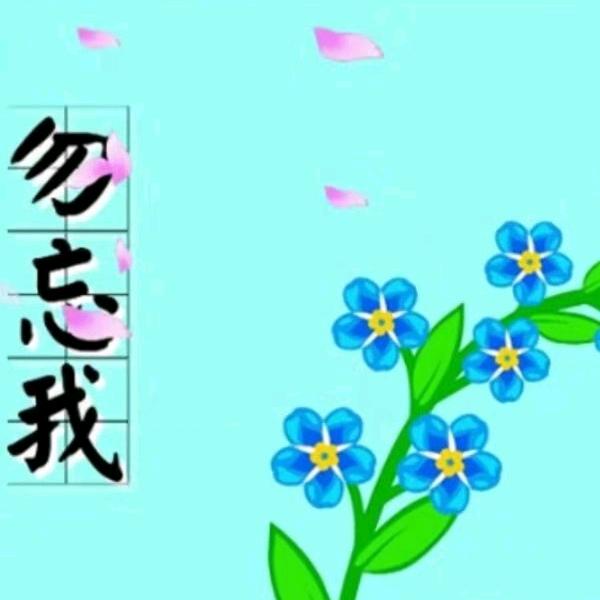 勿忘我