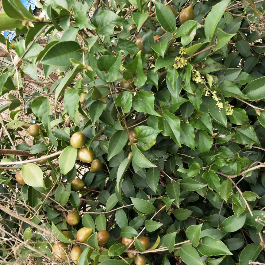 💰幸运🤟暴富🔥