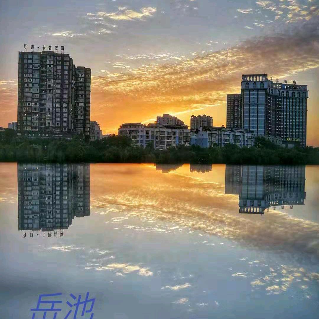 执着(名表维修)