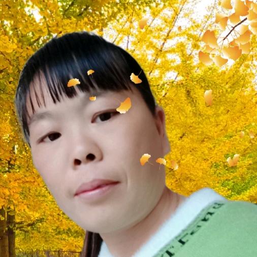 丢了幸福的猪