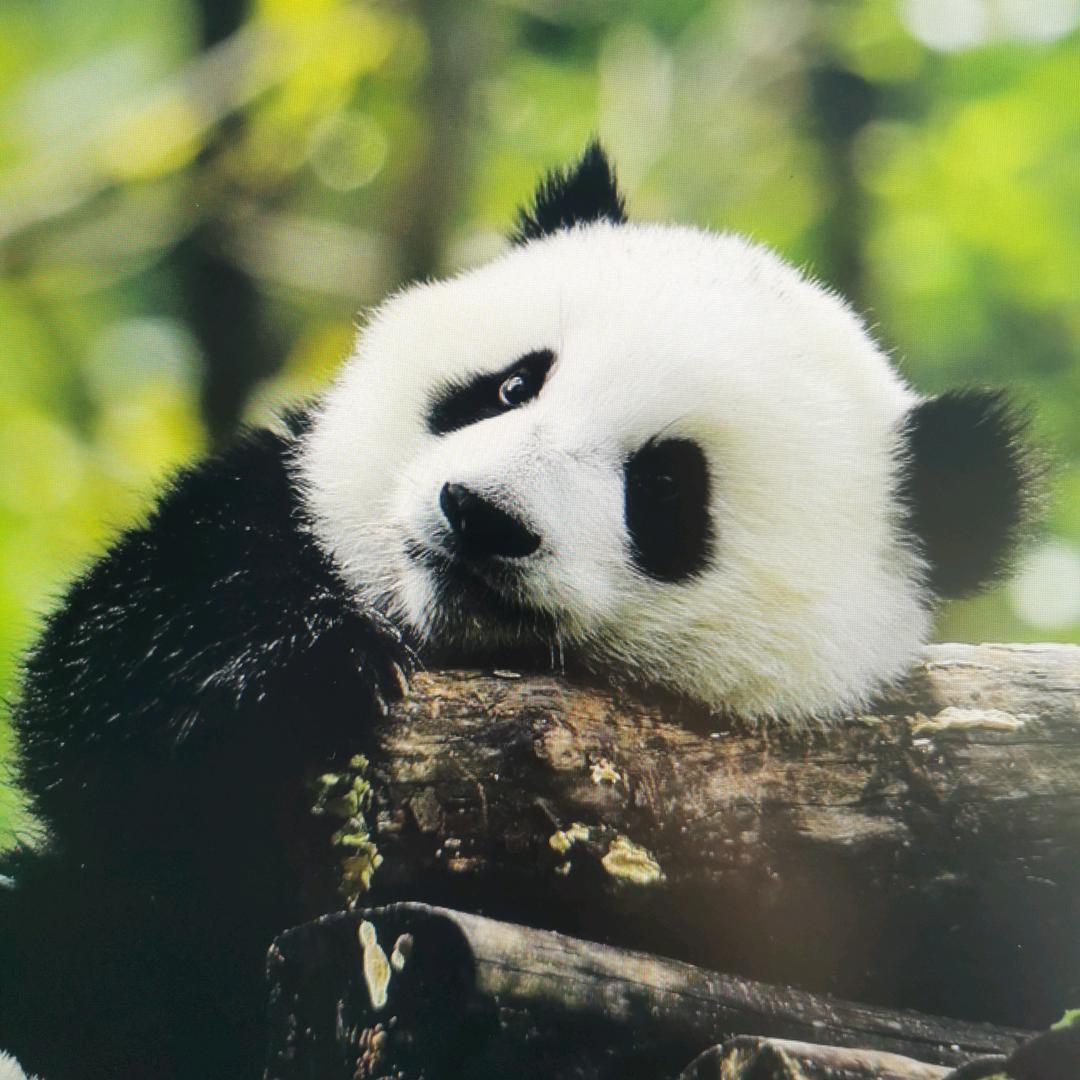 萨日格勒（关赞必回）