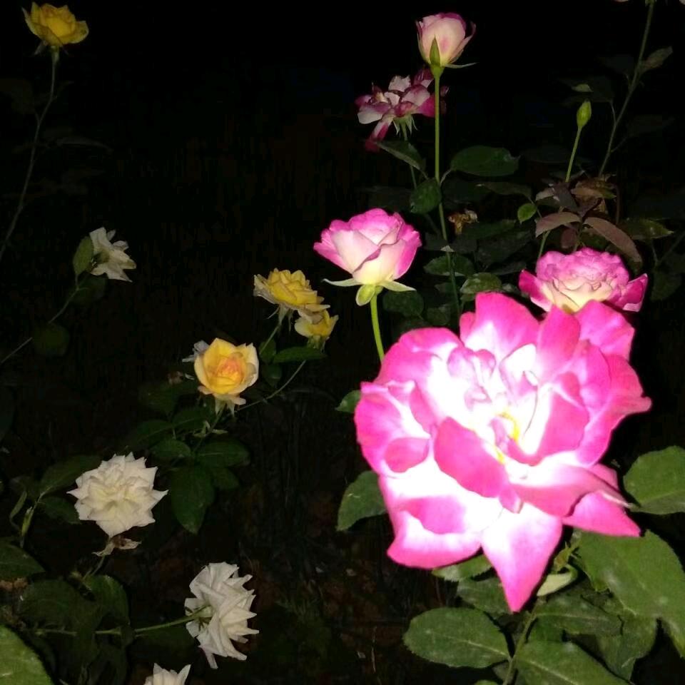 孙荣