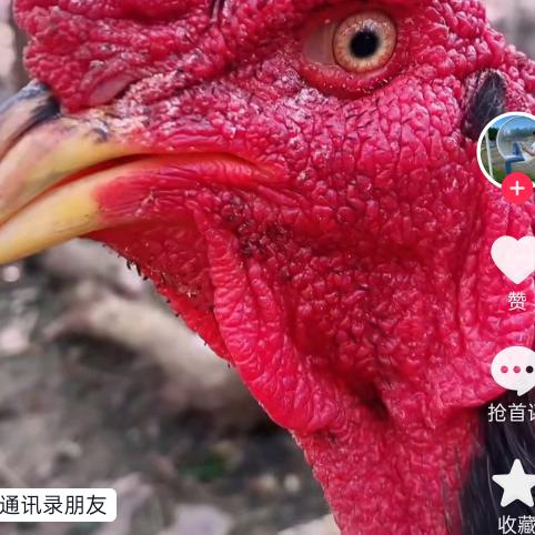 ，钢筋工突击队