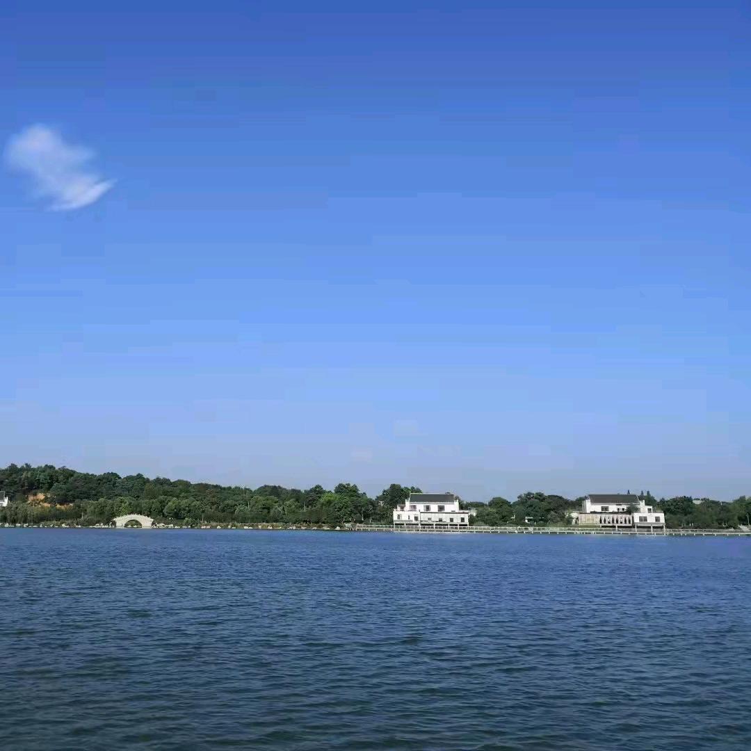 菩提明镜