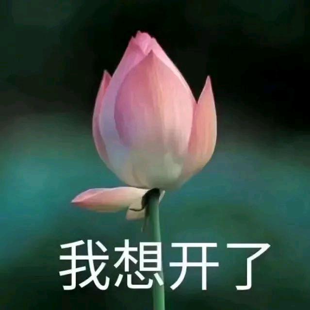 上班好烦😫