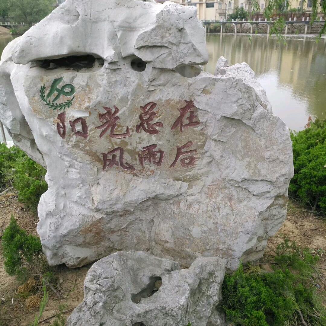 沙漠之洲