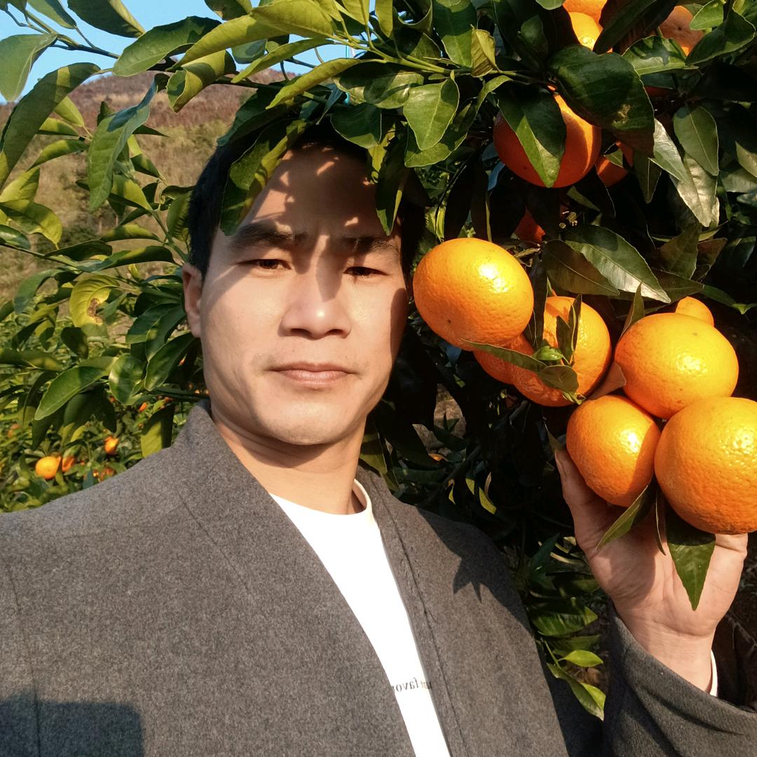 广西专业收割团队大表哥阿伟