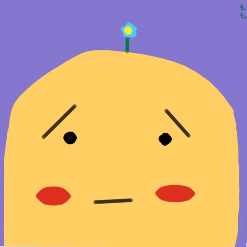 𓆡 毛毛