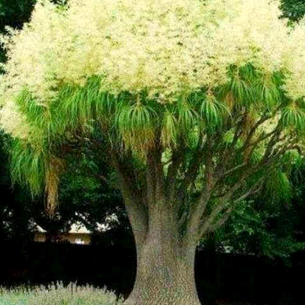 秋水长天
